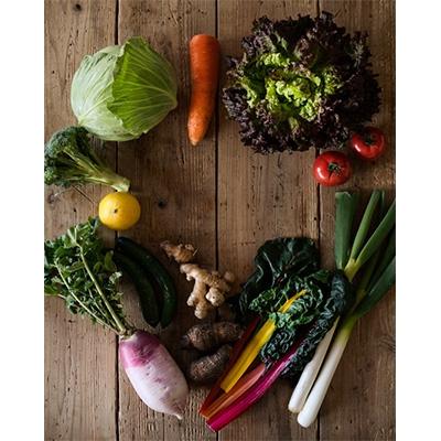 ふるさと納税 綾町 綾町旬野菜セット (10〜15種類) |  | 03