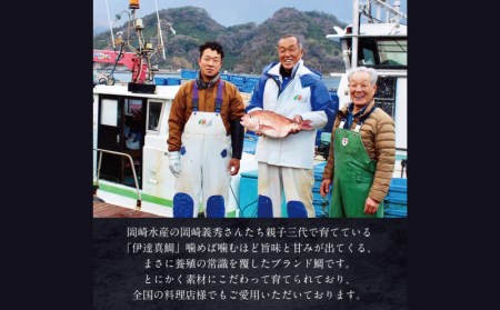 伊達真鯛 550~700g 刺身 1尾 4節 宇和島プロジェクト 真鯛 鯛 マダイ タイ お刺身 お刺し身 刺し身 真空パック フィーレ お手軽 鯛めし 鯛茶漬け 鯛しゃぶ 塩焼き 煮付け アレンジ 