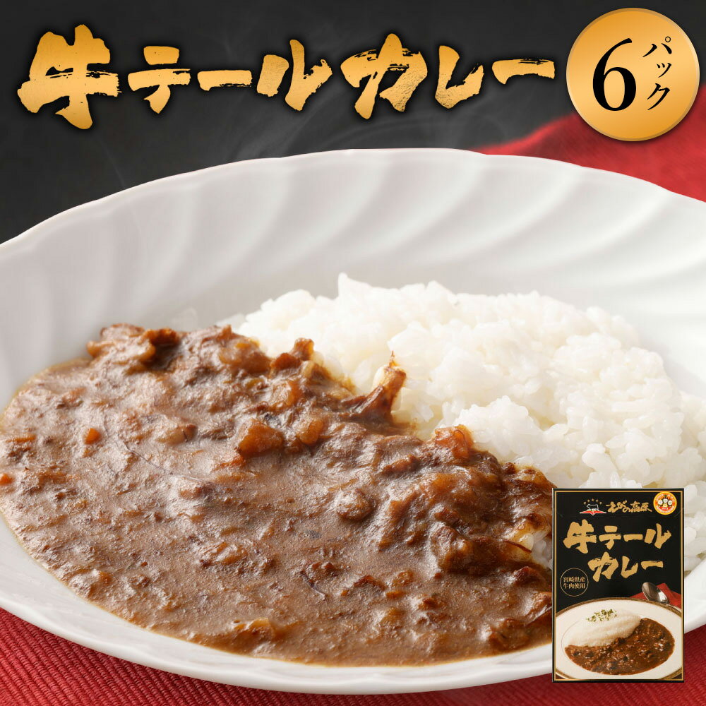えびの高原 牛テールカレーセット 200g×5個 合計1kg