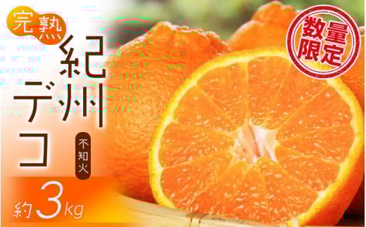 果肉プリプリ♪ 完熟紀州デコ(不知火)  約3kg ＜2026年2月下旬頃～2026年3月中旬頃発送＞ 不知火 みかん ミカン 柑橘 果物 フルーツ【uot706A】