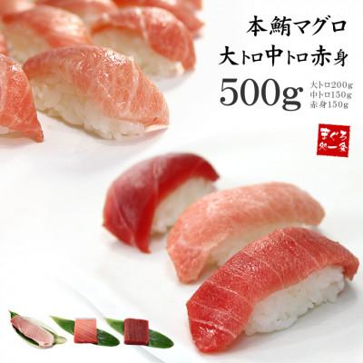ふるさと納税 いわき市 本マグロ大トロ中トロ赤身セット　約500g　解凍レシピ付き　1サクずつ真空包装