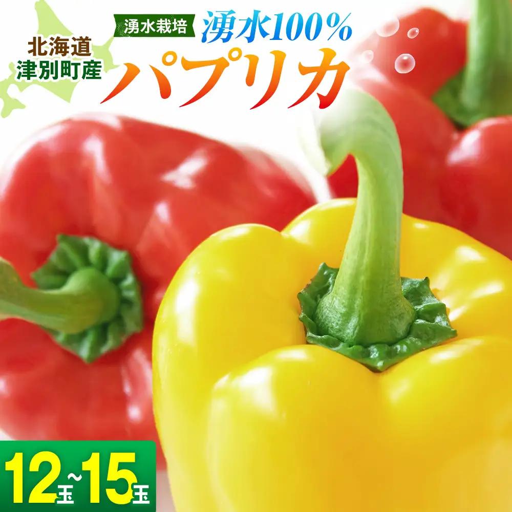 【R8年産】 湧水栽培 ナツやさいのパプリカ 12玉～15玉セット ピンクの八百屋 ナツやさい  | パプリカ 赤 黄 肉厚 サラダ 炒め物 スープ 肉詰め 煮浸し パエリア 旬 産地直送 北海道 津別町 送料無料