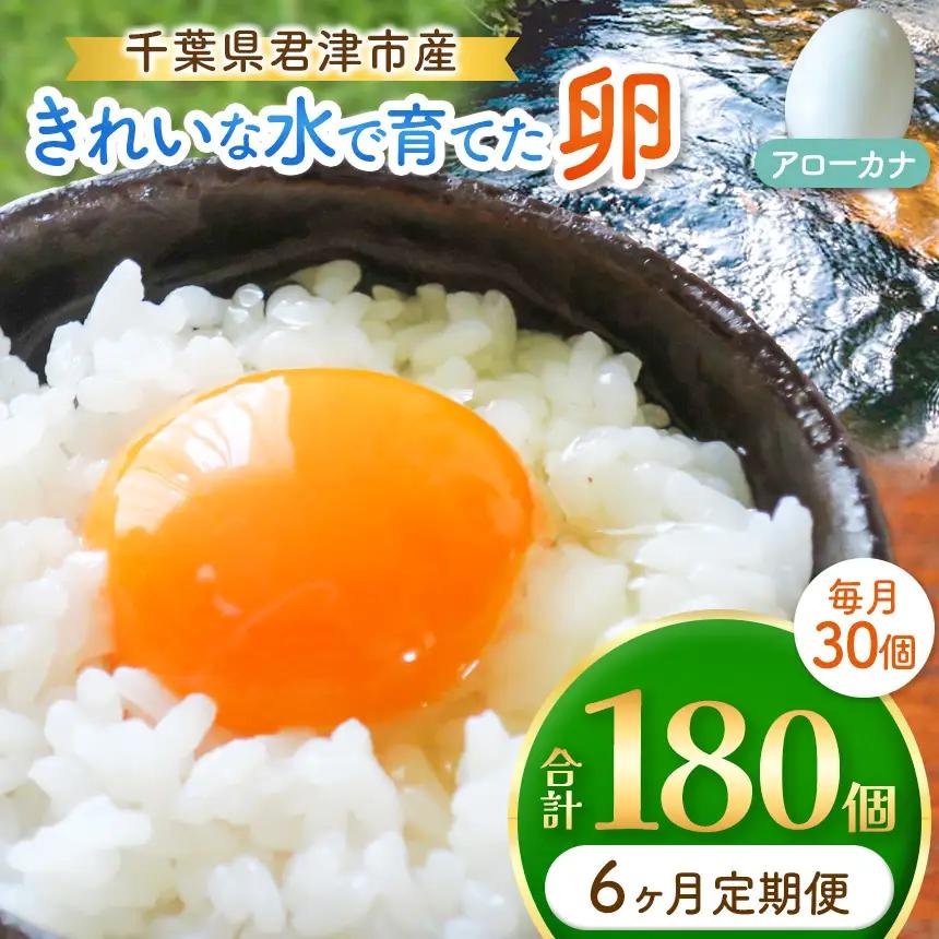 【6回定期便】きれいな水で育てた卵 アローカナ 30個 