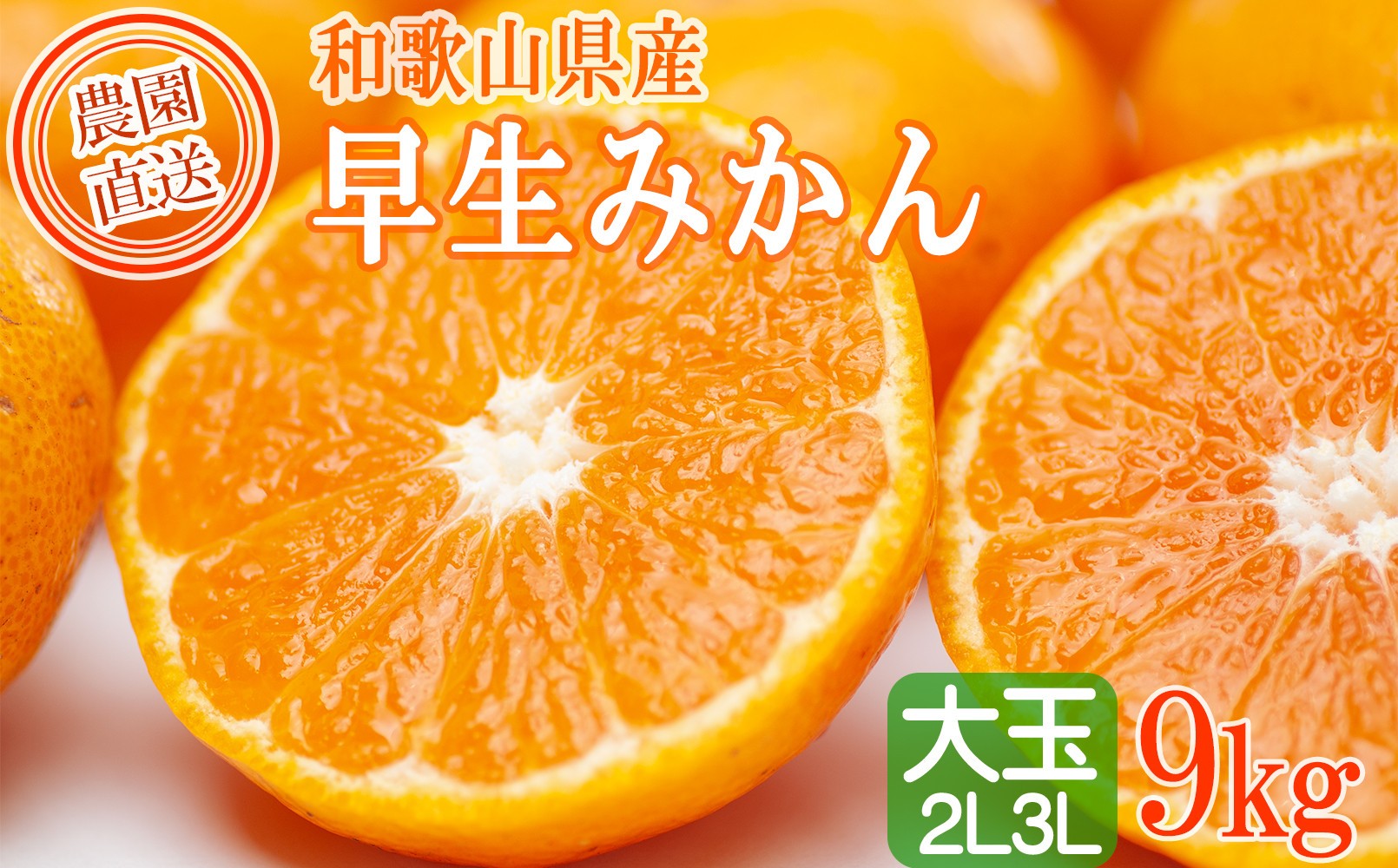 
            大玉みかん2L又は3Lサイズ 9㎏【大粒早生みかん】11月中旬～1月中旬産地直送｜LLサイズ LLLサイズ 大きい 大きめ おおだま ミカン mikan 温州みかん わけあり 訳アリ 訳あり 家庭用 柑橘 蜜柑 和歌山県|北海道・沖縄・離島の配送不可
          