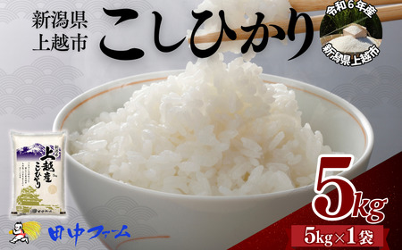 上越市産 新潟 コシヒカリ　5kg 上越市 精米 米 コメ こしひかり ブランド米