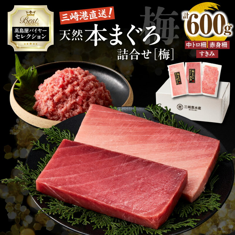 【ふるさと納税】【高島屋バイヤーセレクション】 天然 本まぐろ 詰合せ ＜梅＞ 600g 鮪 まぐろ 本鮪 中トロ 柵 赤身 すきみ ねぎとろ 刺身 魚 高島屋 神奈川県 三浦市 おすすめ ランキング プレゼント ギフト