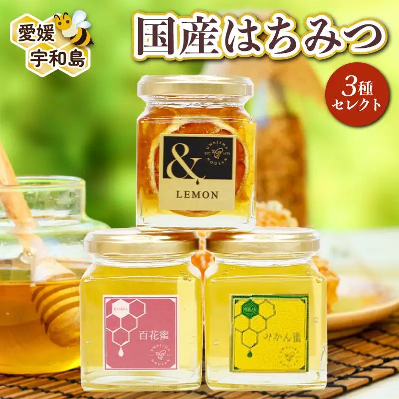 ＼10営業日以内発送／ 国産はちみつ 3種類 セレクト 宇和島農産 人気 セット 百花蜜 みかん蜜 ＆LEMON レモンハニー レモン 檸檬 百花蜂蜜 百花はちみつ 純粋はちみつ 生はちみつ 天然はちみつ 天然蜂蜜 蜂蜜 はちみつ ハチミツ ハニー 食べ比べ ギフト プレゼント 贈答用 産地直送 国産 愛媛 宇和島 F012-132003