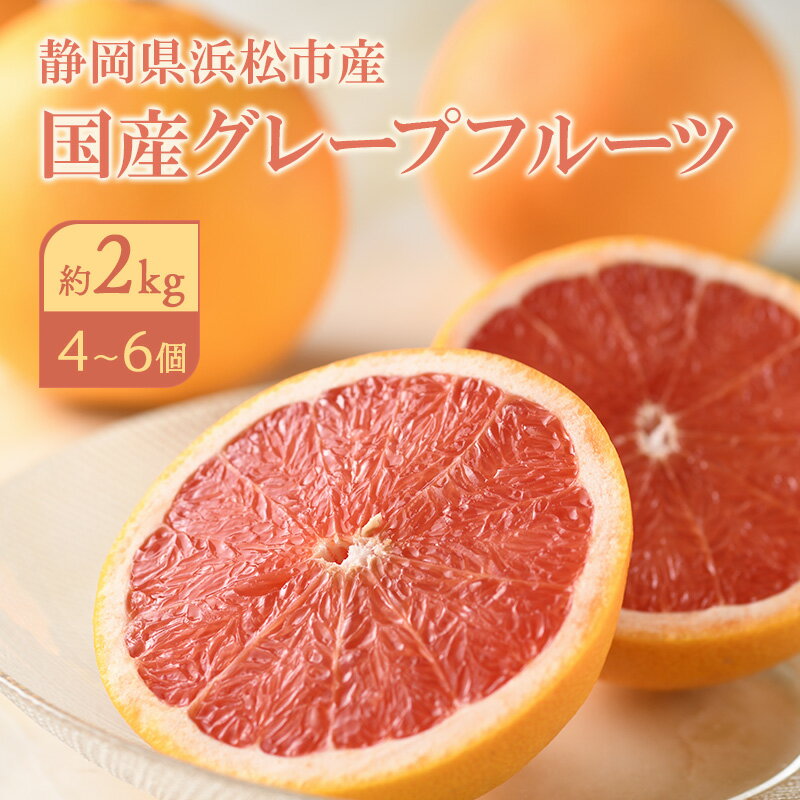 【ふるさと納税】果物 期間限定 数量限定 【先行予約】2027年4月上旬より順次発送 静岡県浜松市産グレープフルーツ約2kg 4～6個 国産 生食 ハウス栽培 希少 フルーツ 静岡 浜松市　お届け：2027年4月1日～2027年4月20日