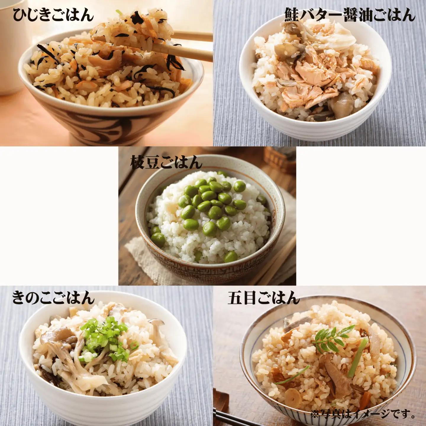 冷凍炊き込みごはんの素 5個セット(2合分5種x1) ごはんの素