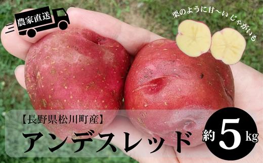 HF49-25B 長野県松川町産じゃがいも アンデスレッド 約5kg / 8月中旬発送開始予定 // 長野県 南信州 減農薬栽培 いも 芋 イモ ジャガイモ エコファーマー認証 農家支援 産地直送