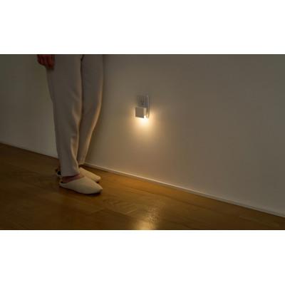 ふるさと納税 大河原町 コンセント式LEDセンサーライト 明暗センサータイプ フットライト アイリス[53753140] |  | 02