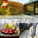 【ふるさと納税】 宿泊券 旅行券 定山渓 温泉 スイートルーム ペア2泊 宿泊 鉄板焼きディナー 観光タクシー 420,000円分 2泊3日 2食付き 2名分 オールシーズン 北海道ツアー シャレーアイビー 北海道 札幌市