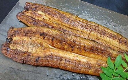 120年守り抜いた秘伝のたれで焼いた国産うなぎの蒲焼2尾(4人前)セット 国産 うなぎ 2尾 魚介類 魚貝類 父の日 土用の丑の日 お祝い お中元 夏バテ防止 疲労回復 おかず つまみ【326】