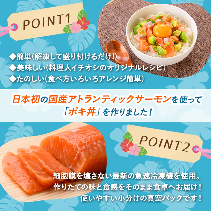 日本初 完全陸上養殖 静岡県小山町産 アトランティックサーモン 冷凍 ポキ丼（ 食べ比べ セット 約160g / 約130g × 2パック × 4つの味 ） 