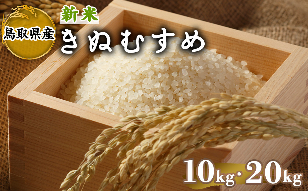 
            ＜先行予約受付中！2025年10月中旬～2026年8月下旬発送予定＞＜数量限定＞＜容量が選べる＞令和7年産新米鳥取県産きぬむすめ(10kg～20kg)【sm-DD066・sm-DD067】【Workplays】
          