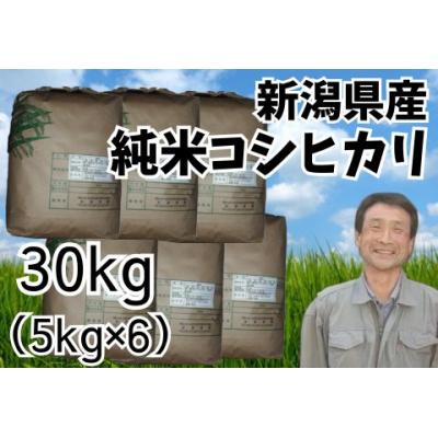 ふるさと納税 阿賀野市 【令和7年産】新潟県産 純米コシヒカリ 30kg(5kg×6袋) さいとう農園