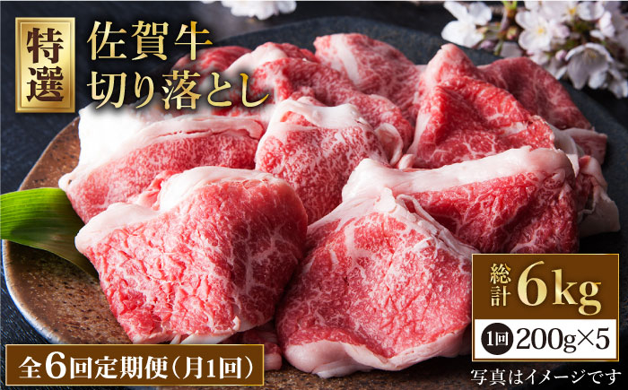 
【全6回定期便】佐賀牛 切り落とし 1kg ( 200g×5パック ) 【肉の三栄】 [HAA081]
