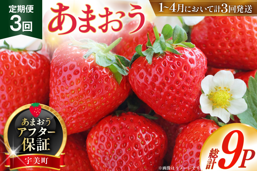 【期間限定発送】 いちご 定期便 あまおう 3p 3回 総計9p [THE FARM_strawberry 福岡県 宇美町 um40azo780004] イチゴ 苺 フルーツ 果実 甘い 小分け