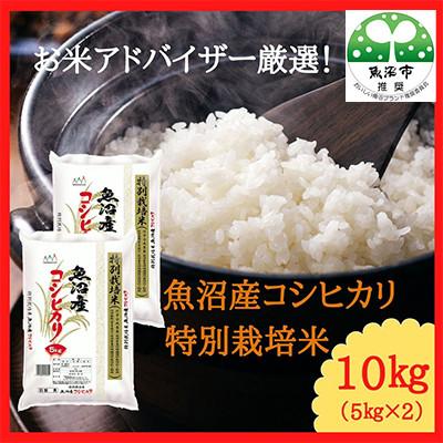 ふるさと納税 魚沼市 【毎月定期便】お米アドバイザー厳選!魚沼産コシヒカリ特別栽培米 精米計10kg(5kg×2)全2回