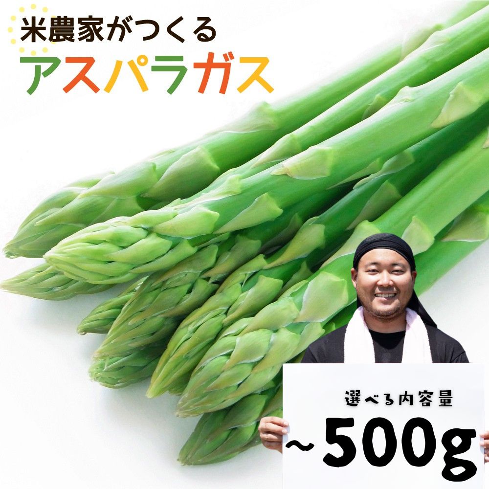 【ふるさと納税】数量限定《先行予約》令和8年産 6月下旬から発送 米 農家がつくる！朝採れアスパラガス M~L L~2L 選べる内容量 200g 500g 野菜 やさい 新鮮 アスパラ 不揃い 訳あり お米 農家 池本農園［Q1411］5000円ちょうど 5000円 10000円 5千円 1万円 旬《hida0307》