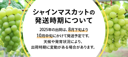 【 ふるなび限定 】 2024年発送 先行予約 高級 山梨県産 シャインマスカット 2房 （約1.2kg） 数量限定 FN-Limited シャインマスカット 2房 果物 シャインマスカット 期間限定