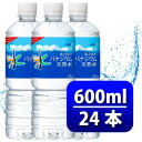 【ふるさと納税】アサヒ「おいしい水」 バナジウム天然水 富士山 600ml 1箱(24本入り)軟水 ペットボトル_ 水 ミネラルウォーター ウォーター ミネラル アサヒ バナジウム 天然水 飲料 ドリンク ベビー 防災 キャンプ アウトドア 山梨市 常温 玄関 配達 健康 【1501646】