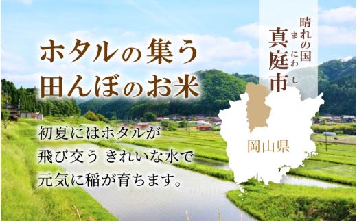 ＜定期便全6回＞ 令和8年産 真庭市産 ひとめぼれ 無洗米 10kg(5kg×2袋)×6回 / お米 岡山県 米 ひとめぼれ 人気 2026年産 【tkns-tkb011】 10kg(5kg×2袋)×