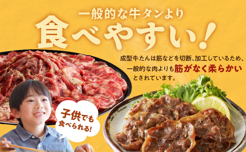 【定期便】ねぎ塩 牛たん（成型）合計 1kg 小分け 250g×4【牛タン 牛肉 焼肉用 薄切り 訳あり サイズ不揃い 2026年2月＆5月発送 全2回】 099Z432
