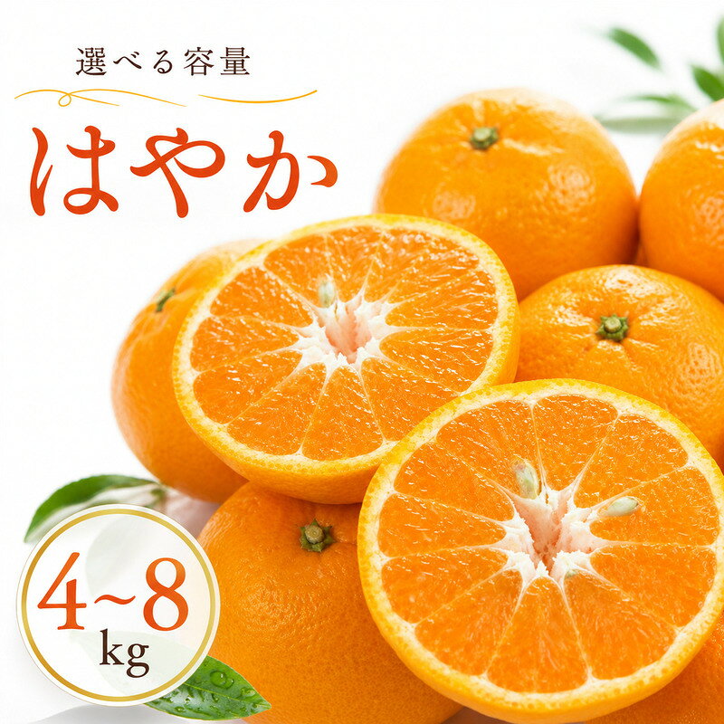 【ふるさと納税】 【先行予約】早香 4kg 8kg 7000円 10000円 正品 訳あり みかん mikan 蜜柑 ミカン はやか 産地直送 国産 農家直送 期間限定 数量限定 特産品 ゼリー ジュース アイス 冷凍 みかん 等に 人気 甘い フルーツ 果物 柑橘 第一マルエム 愛南町 愛媛県