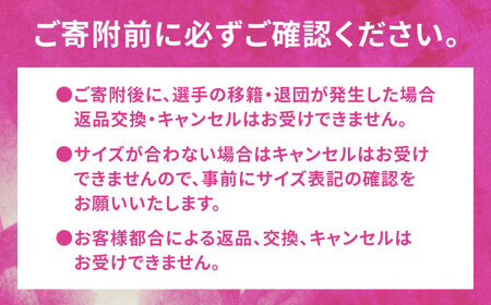 SAGA BALLOONERS 公式オーセンティックユニフォーム（アウェイ） / バスケットボール プロ スポーツ 公式グッズ / 佐賀県 / 佐賀バルーナーズ[41AAAI003]