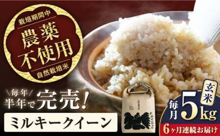 【先行予約/令和7年産新米】【全6回】自然栽培米ミルキークイーン　5kg玄米×6回[AQCP013] 玄米 玄米 玄米 玄米 玄米