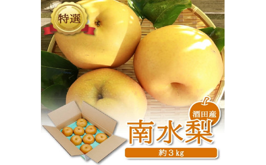 酒田産【特選】南水梨　約3kg(6～9玉入) SA3037