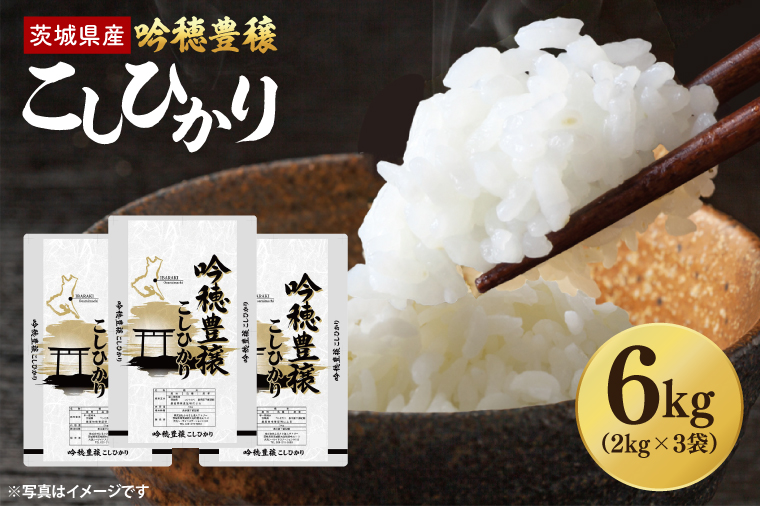 【先行予約 2025年9月より順次発送】 ＜令和7年産＞ 新米 吟穂豊穣こしひかり 6kg (2kg×3袋) 精米 コシヒカリ こしひかり 米 ごはん コメ お米 白米 国産 茨城県産