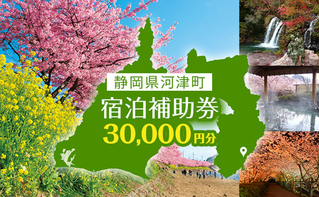 宿泊券 たっぷり河津旅 30,000円分 宿泊補助券 ホテル 旅館 温泉宿 高級宿 旅行券