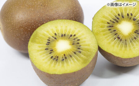 福岡限定品種キウイ「甘うぃ」約1.3kg〜約1.5kg／2026年11月頃より発送予定 桂川町/一般社団法人地域商社ふるさぽ[ADCF013]