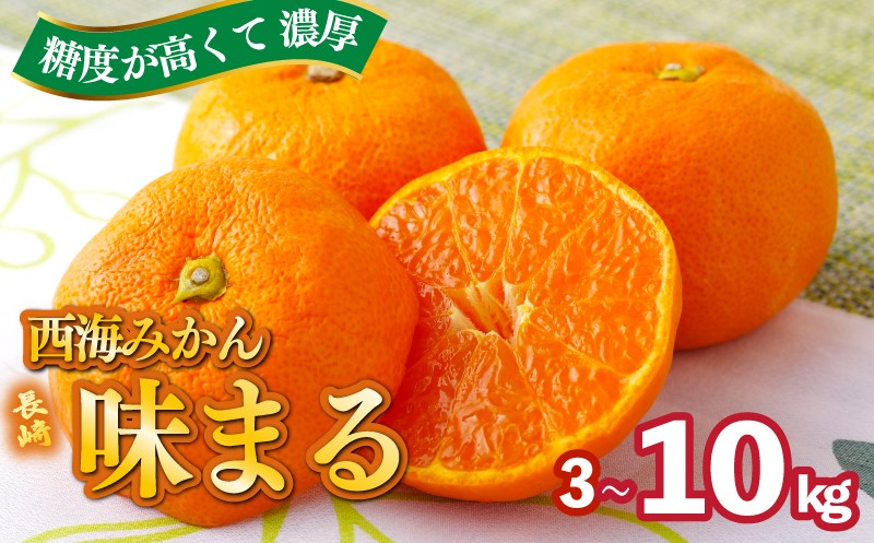 
                  【 早期受付 】 西海みかん ｢ 味まる ｣  選べる 3kg 5㎏ 10kg 産地直送 ブランド みかん 糖度 12度以上 新鮮 家庭用 温州みかん 佐世保みかん フルーツ 柑橘 オレンジ デザート ジュース ゼリー にも最適 JA西海 長崎県 佐世保市
                