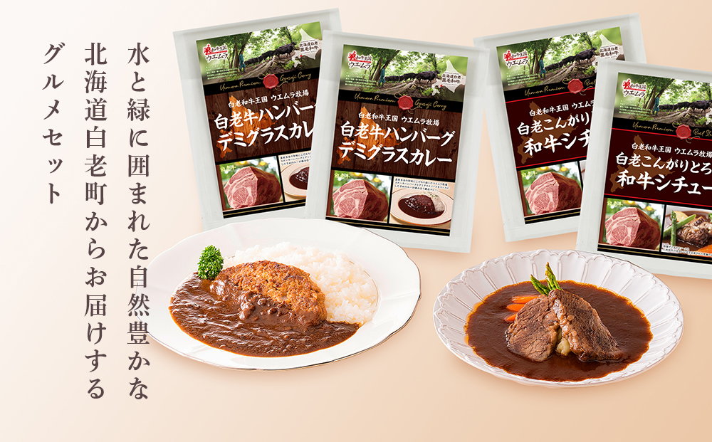 ＜ウエムラ牧場＞白老牛ハンバーグカレー・シチューセット AP013_イメージ2