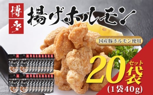  博多揚げホルモン　20袋