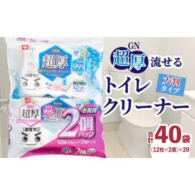 ふるさと納税 三豊市 GN超厚流せるトイレクリーナー大判(12枚×2P)×20袋