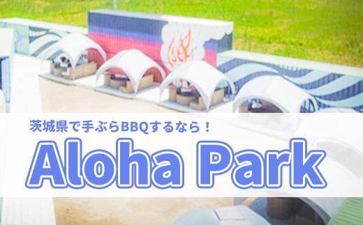 
K1925 茨城県境町 Aloha Park BBQ 施設 利用券
