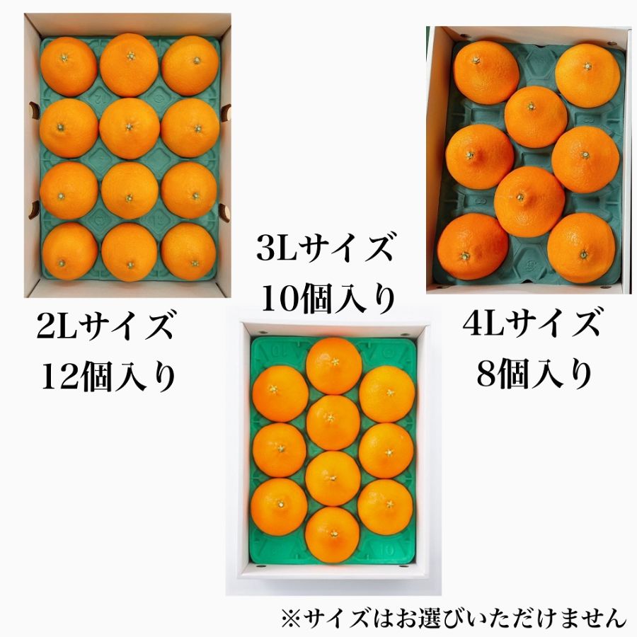 愛媛県産「紅まどんな」赤秀（２L～４L) （8～12個）