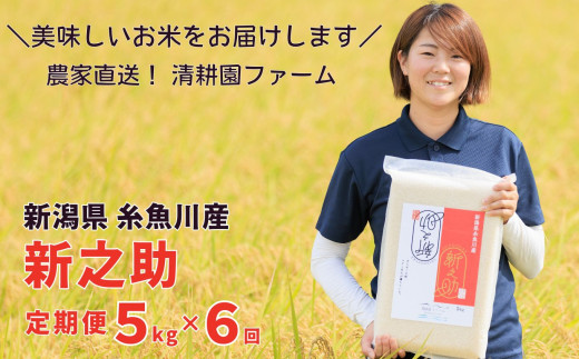 令和8年産新米『新之助』 【定期便】  5kg×6ヶ月 計30kg 農家直送 真空パック 清耕園ファーム 新潟県 糸魚川産 しんのすけ  毎月お届け ギフトにも【数量限定 お米 こめ ご飯 ライス ふるさと納税米 ブランド米 5キロ 6回 6か月 2026年産】