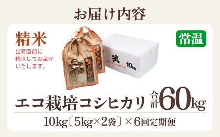 【先行予約】【令和6年産】《定期便6回》エコ栽培コシヒカリ 白米10kg（5kg×2袋）計60kg ／ 鮮度抜群 福井県産 こしひかり ご飯 新鮮 白米 新米 ※2024年10月上旬より準備出来次第発
