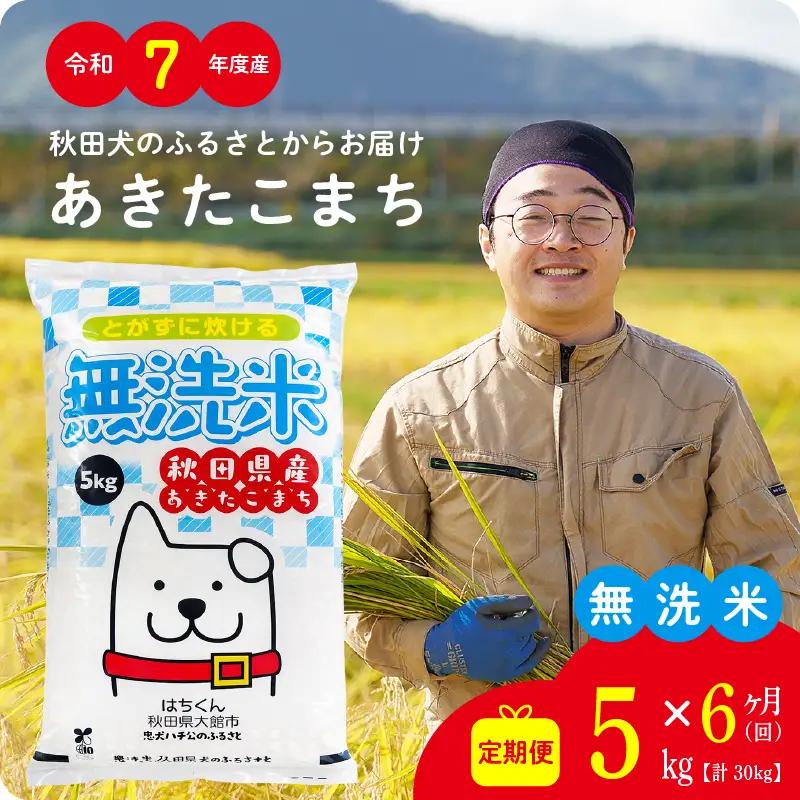 《令和7年産》【6ヶ月5kg定期便】無洗米 あきたこまち 無洗【真正ファーム】