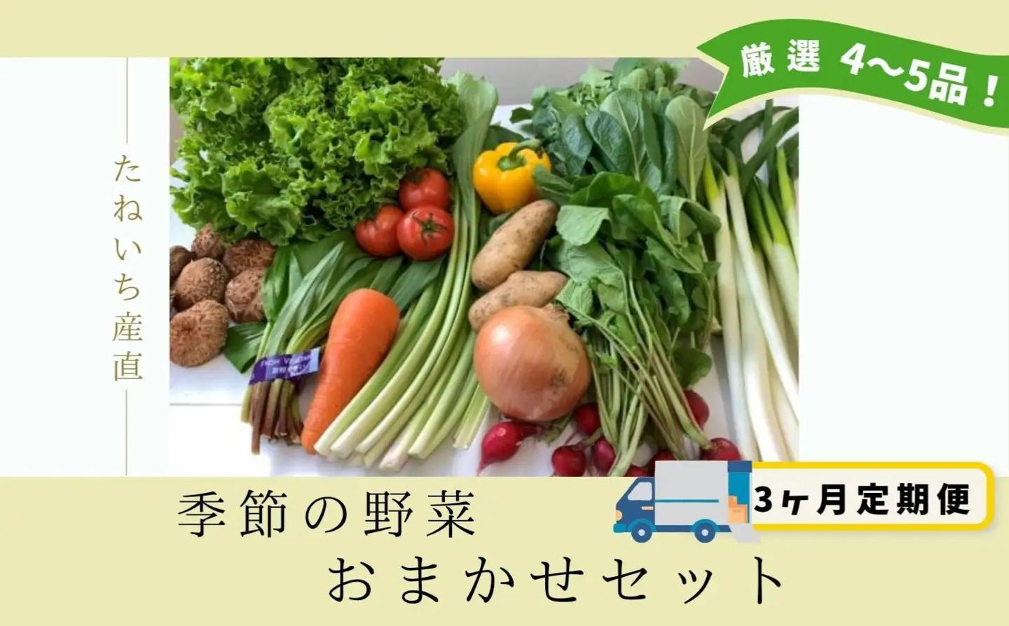【3ヵ月定期便】季節のお野菜おまかせセット（4～5品程度）