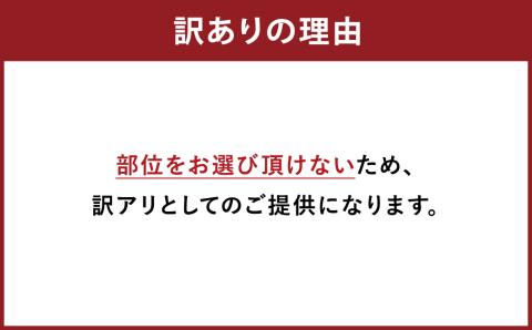 【訳あり】博多和牛切り落とし 約5kg(約500g×10パック)