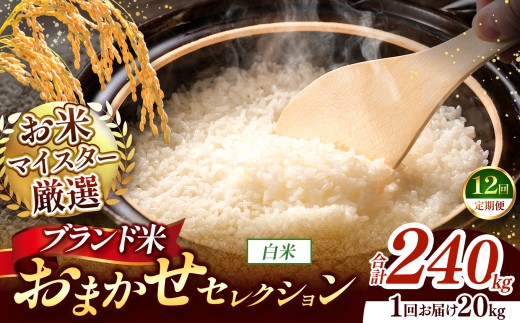 【 令和7年産 】おまかせ セレクション 【定期便12回】熊本県産 白米  ＜ひのひかり / 森のくまさん / くまさんの輝き ＞ 20kg  | 単一銘柄 米 単一米 お米 こめ 小分け 人気 コメ お米 5kg 10kg 15kg 20kg 25kg 30kg 定期便 3回 6回 12回 ブランド米 菊池川流域 家庭用 送料無料 熊本 くまもと 熊本県 和水 和水町 人気 ごはん