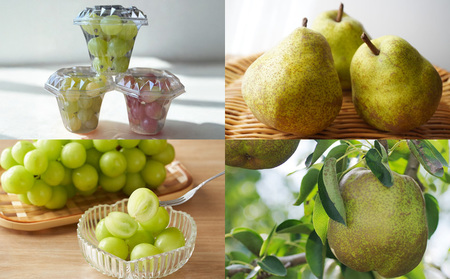 【定期便4回】山形人気フルーツベスト4！ お福分け定期便パート3【令和8年産先行予約】FS25-132