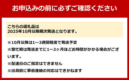 紀州南高梅 つぶれ梅 セット しそ漬け梅 塩分8％ 1.2kg 白浜グルメ市場 【 南高梅 梅干し つぶれ梅干し しそ梅干し シソ梅干し しそ漬け梅干し 梅干 和歌山県 白浜町 】
