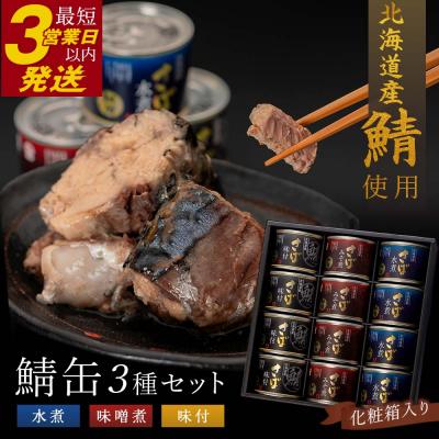 ふるさと納税 釧路市 笹谷商店 北海道産 鯖缶 3種×12個セット(味噌煮・水煮・味付き 極上3味)F4F-1148